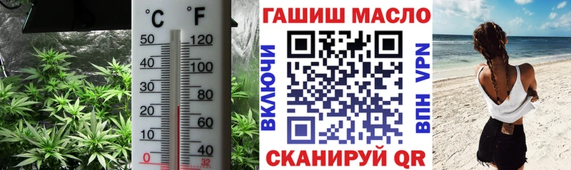 где купить наркоту  mega онион  Дистиллят ТГК вейп  Елизаветинская 