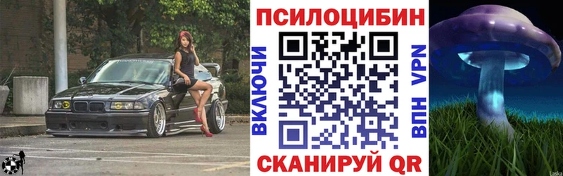 KRAKEN рабочий сайт  Елизаветинская  Псилоцибиновые грибы мицелий 